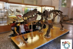 1_Paleontologico1