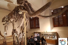1_Paleontologico2