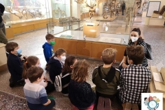 Paleontologico3