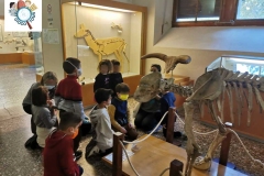 Paleontologico9