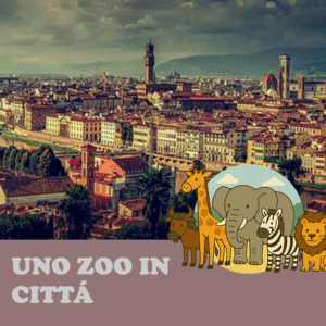 SCUOLA-TOUR ALL'APERTO